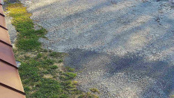 Nástup na běžecké tratě