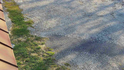 Nástup na běžecké tratě