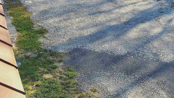 Nástup na běžecké tratě