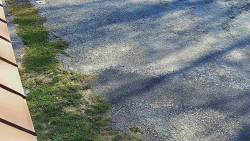 Nástup na běžecké tratě