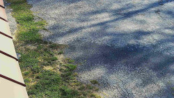 Nástup na běžecké tratě