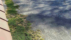 Nástup na běžecké tratě