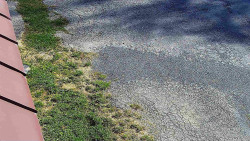 Nástup na běžecké tratě