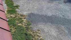 Nástup na běžecké tratě