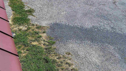 Nástup na běžecké tratě