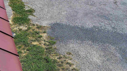 Nástup na běžecké tratě