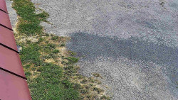 Nástup na běžecké tratě