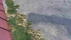 Nástup na běžecké tratě