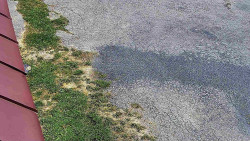 Nástup na běžecké tratě