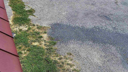 Nástup na běžecké tratě