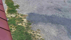 Nástup na běžecké tratě