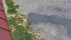 Nástup na běžecké tratě