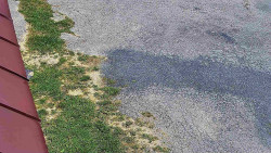 Nástup na běžecké tratě