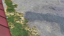 Nástup na běžecké tratě