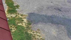 Nástup na běžecké tratě