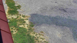 Nástup na běžecké tratě