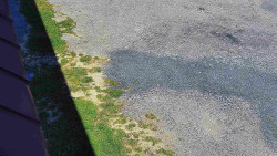 Nástup na běžecké tratě