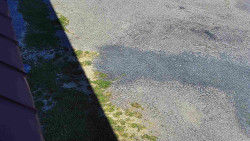 Nástup na běžecké tratě