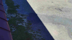 Nástup na běžecké tratě