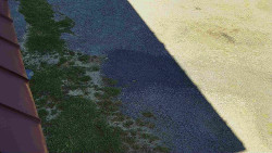 Nástup na běžecké tratě