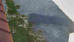 Nástup na běžecké tratě