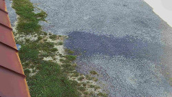 Nástup na běžecké tratě