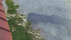 Nástup na běžecké tratě