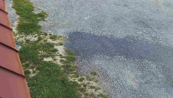 Nástup na běžecké tratě