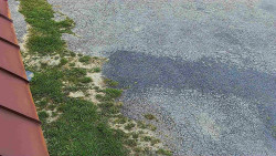 Nástup na běžecké tratě