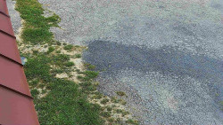 Nástup na běžecké tratě