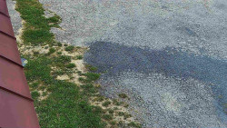 Nástup na běžecké tratě