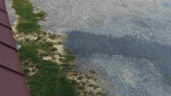 Nástup na běžecké tratě