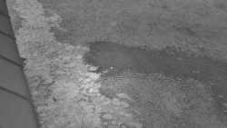 Nástup na běžecké tratě