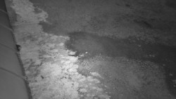 Nástup na běžecké tratě