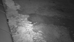 Nástup na běžecké tratě