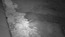 Nástup na běžecké tratě