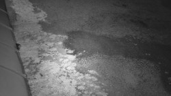 Nástup na běžecké tratě