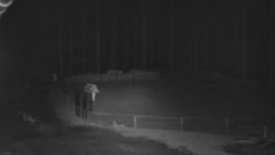 Nástup na běžecké tratě