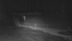 Nástup na běžecké tratě