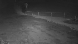 Nástup na běžecké tratě