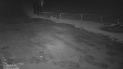 Nástup na běžecké tratě