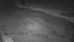 Nástup na běžecké tratě