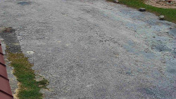 Nástup na běžecké tratě