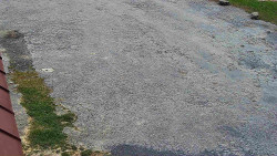 Nástup na běžecké tratě