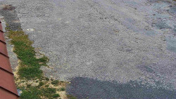 Nástup na běžecké tratě