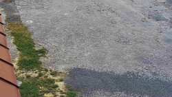 Nástup na běžecké tratě