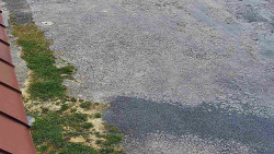 Nástup na běžecké tratě