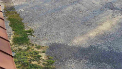 Nástup na běžecké tratě