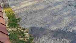 Nástup na běžecké tratě