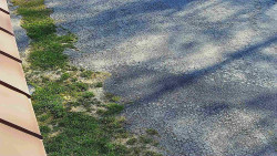 Nástup na běžecké tratě